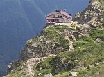 Alla ricerca della mitica Viola di Comolli al rifugio e lago di Coca il 21 agosto 08  - FOTOGALLERY